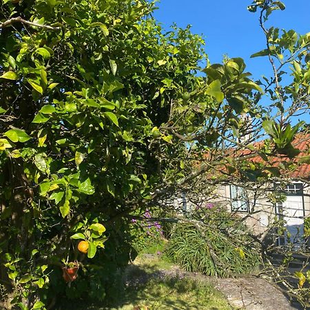 הוילה Vila Praia de Âncora Casa Do Carqueijo מראה חיצוני תמונה